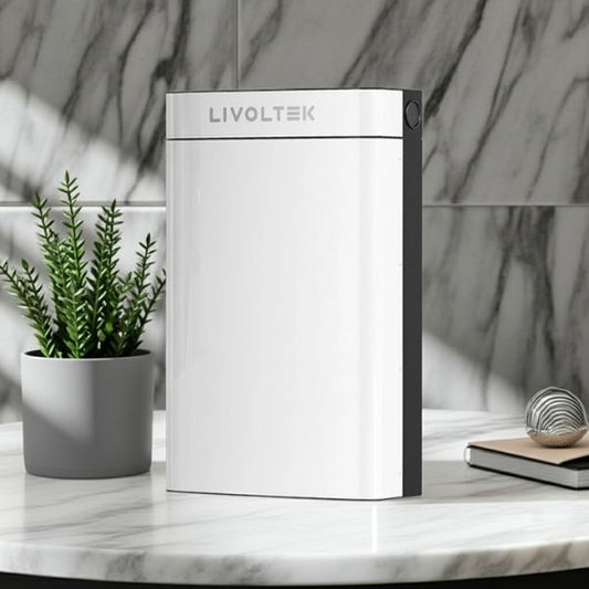 Batería Residencial BLF51-5 Litio 51,2V 100Ah Bajo Voltaje