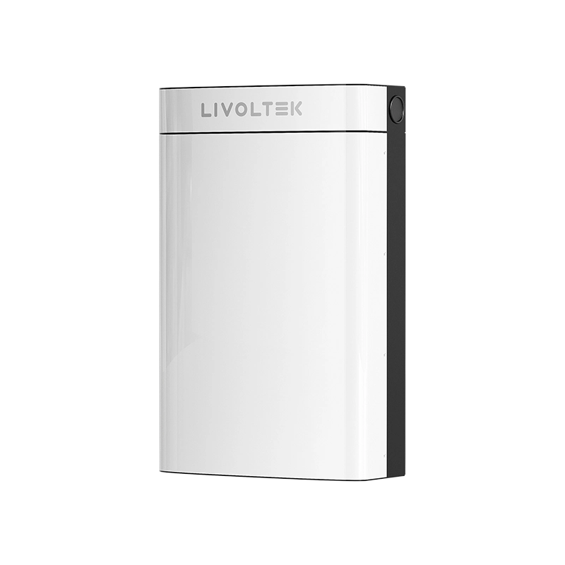 Batería Residencial BLF51-5  Litio 51,2V 100Ah Bajo Voltaje