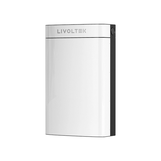 Batería Residencial BLF51-5  Litio 51,2V 100Ah Bajo Voltaje