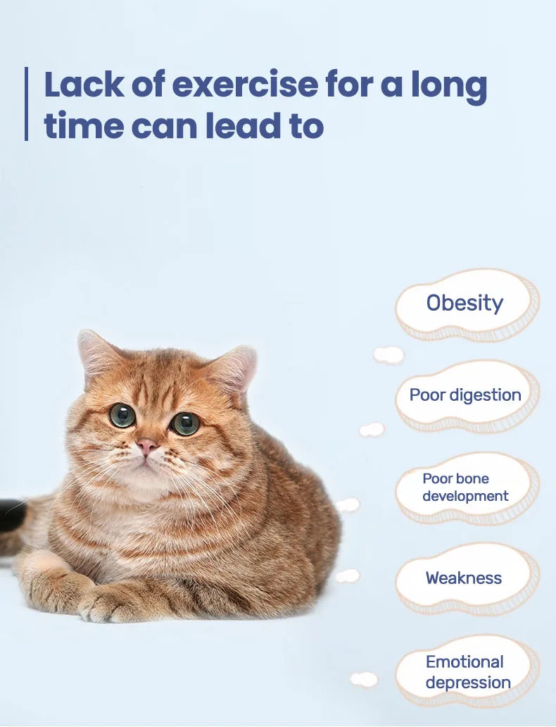 Cinta de Correr para Gatos  Rueda de Ejercicio Ultrasilenciosa con Alfombra Extraíble