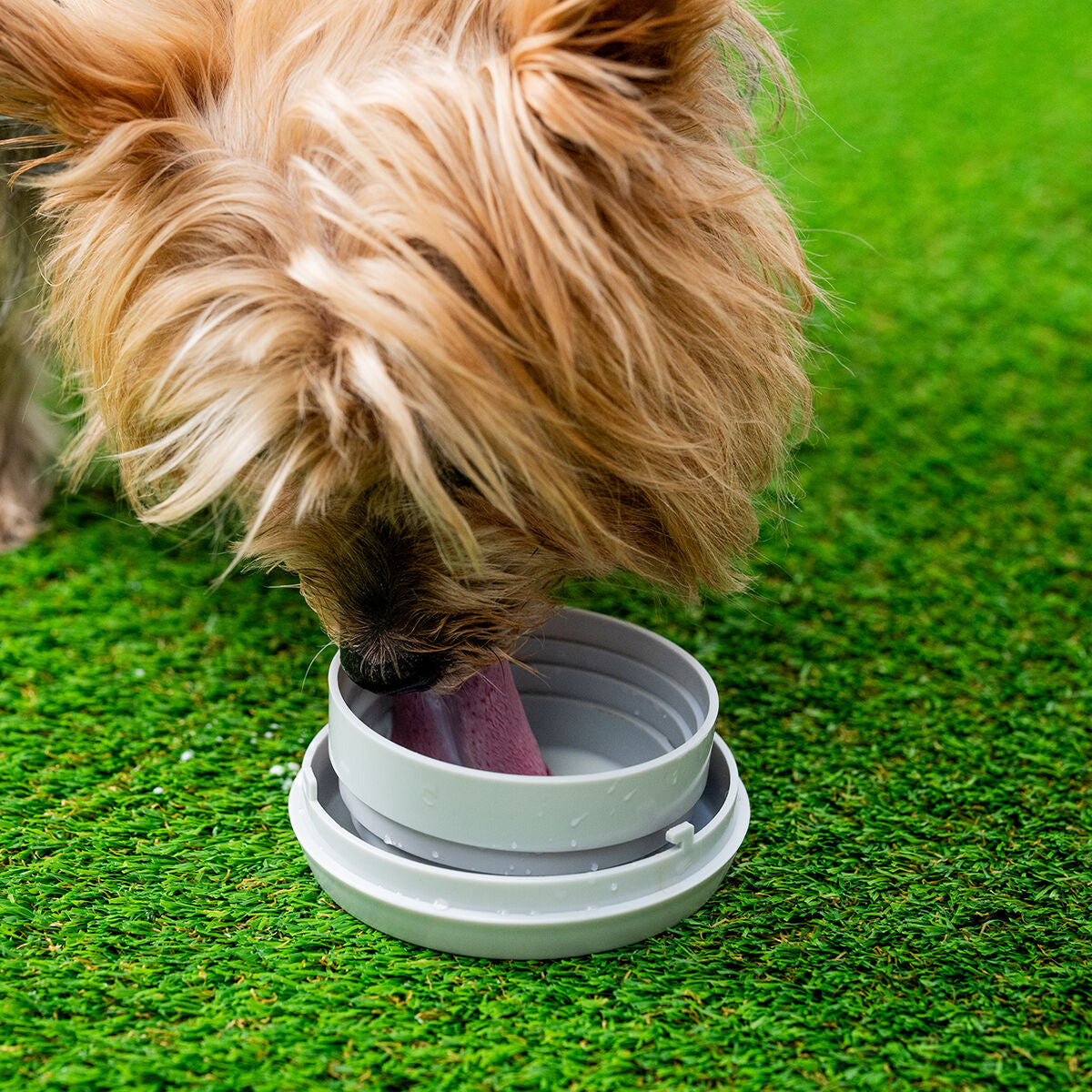 Correa Retráctil Perros 6 en 1 Leashic InnovaGoods - Extensible con Luz LED y Compartimentos