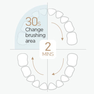Fairywill FW-507  Cepillo de Dientes Eléctrico Sónico Recargable USB